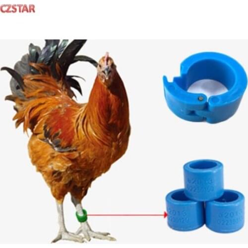 Free sample animal birds uhf ring tags foot tags pigeon parrot chick reusable animal inventory alien impinj uhf epc gen2 tag