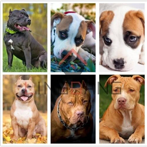5D Diamond Painting Full Square Round Drill Animal Dog Pitbull Diamond Embroidery Cross Stitch Bulldog Mosaic Kits Home Decor