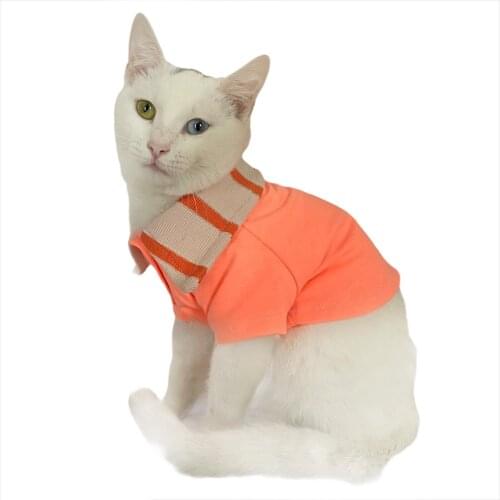 Salmon Flash POLO NECK CAT T-SHIRT Cat Clothes, Cat Fashion