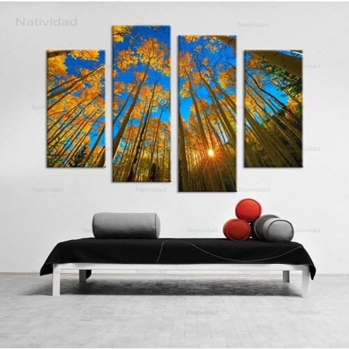 Natividad Wall Paintings