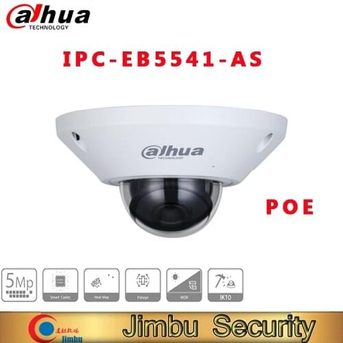 Dahua cctv camera IPC-EB5541-AS 5MP WizMind Fisheye Network CAMERA smart home ip camera IK10 protection poE security camera
