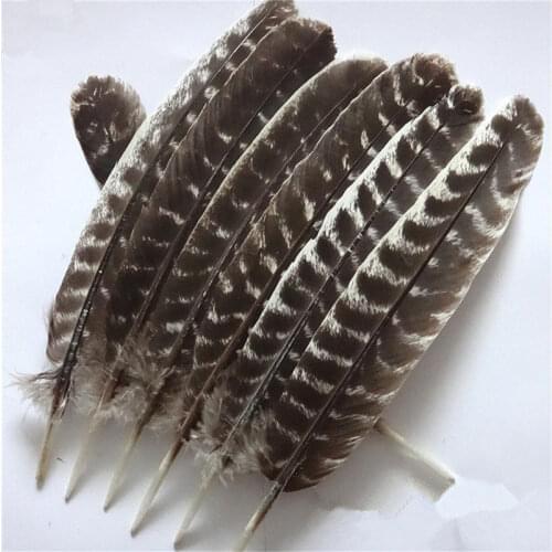Wholesale Real Natural Eagle Feathers for Crafts 16-18"/20-40cm Eagle Bird Feather Decor Wedding Decoration Carnival Accessories