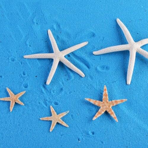 5PCS Resin Starfish Fairy Garden Miniatures Starfish Terrarium Figurines Miniature Garden Decoration Miniature Fairy Figurines