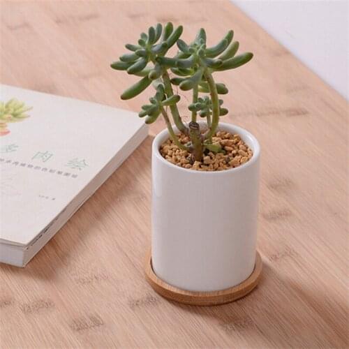 Cute White Ceramic Cylinder shape Flower Pot with Bamboo tray,Table Small Succulents Flowerpot Green Planter Home Decoration