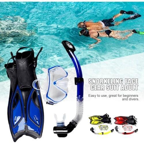 Large Frame Tempered Glass Snorkeling Face Gear Suit Adult Anti-fog Leak-proof Diving Goggles Full Dry Snorkel Flippers Set