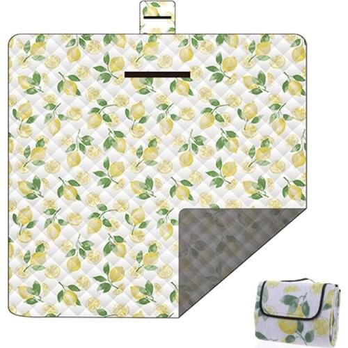 Outdoor Mat Picnic Blanket Waterproof Machine Washable Hiking Moistureproof Beach Camping Mat Folding Beach Blanket 2*2M