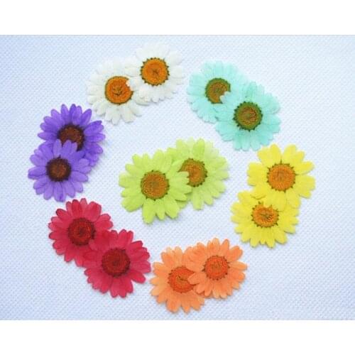 100pcs Pressed Dried Flower Chrysanthemum paludosum Daisy Herbarium For Epoxy Resin Jewelry Making Frame Phone Case Craft DIY