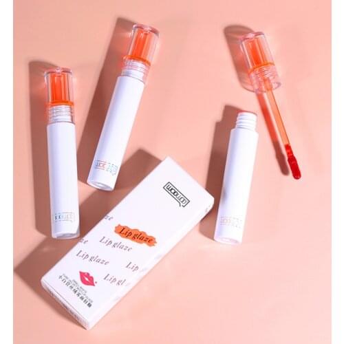 Lips Makeup Lipstick Lip Gloss Long Lasting Moisture Cosmetic Lipstick Red Lip Matte Lipstick Lip Gloss Waterproof TSLM1