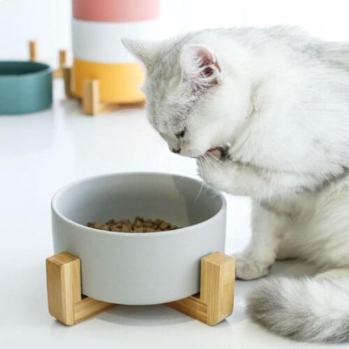 Dog Bowl Stand Ceramic Cat Dog Bowl Dish Anti Slip Pet Food Water Feeder Cats Puppy Pet Bowl