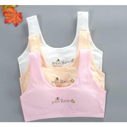 Girls bra development period vest type cotton first breathable girls tube top 10 to 16 years old summer student underwear
