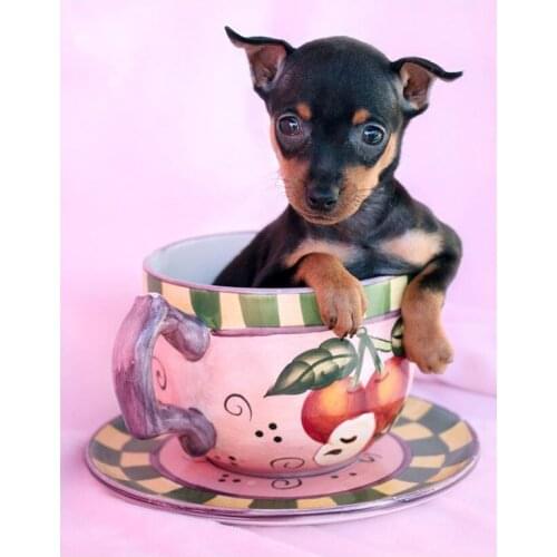 5D Diy Diamond Painting miniature pinscher dog Picture of Rhinestones Full Square Round Diamond Embroidery Room Decoration L157