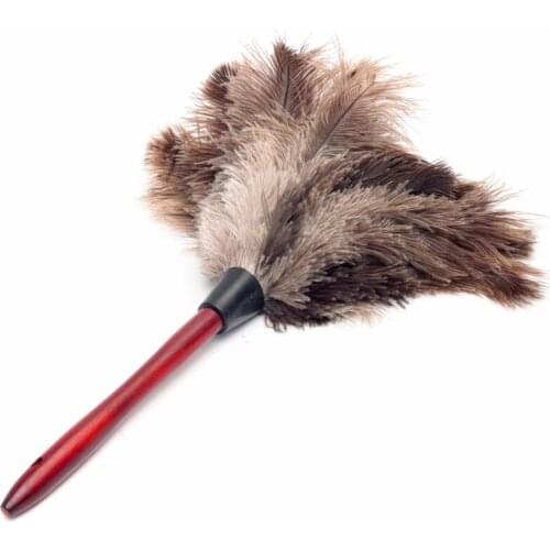 Ostrich feather duster Anti-static natural gray ostrich feather duster feather duster dust removal tool dust cleaner cleaning