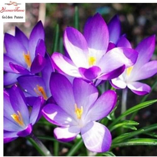 Golden panno,5D,diy diamond embroidery,Full,square,Diamond Painting,Cross Stitch,3D,diamond,Mosaic,Needlework,Purple flower 727S