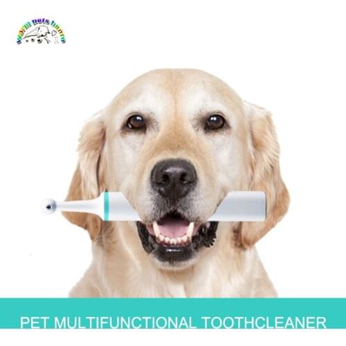 Electric pet dog tooth brush polisher cat dog oral cleaning plaque stain tartar tool pet whitening toothbrush
