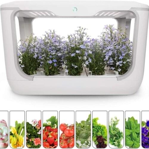 Automated Greenjoy Indoor Herb Garden Kit Hydroponics Growing System Plant Germination Kits