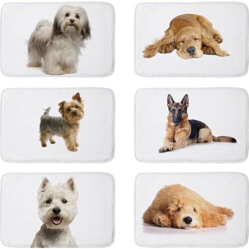 Pug Pet Dog Cat printed Flannel Floor Mat Anti-Slip Tapete Floor Mats Kitchen Doormat welcome mats for front door