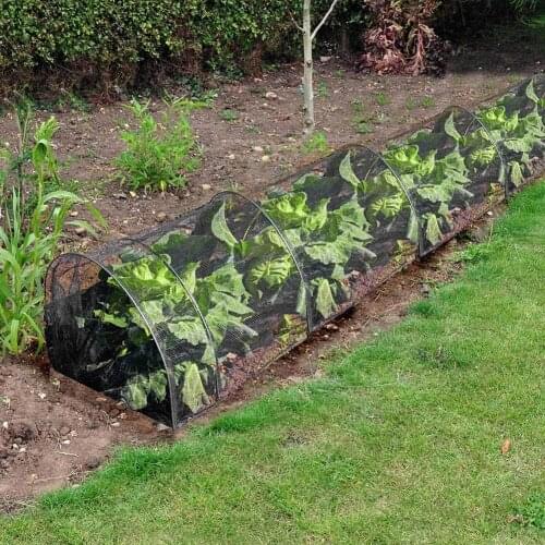 Plant Tunnel Net Cover Garden Vegetable Anti-Insect Net Cover Plant Flower Care Protection Net Bird Insect Prevention Net