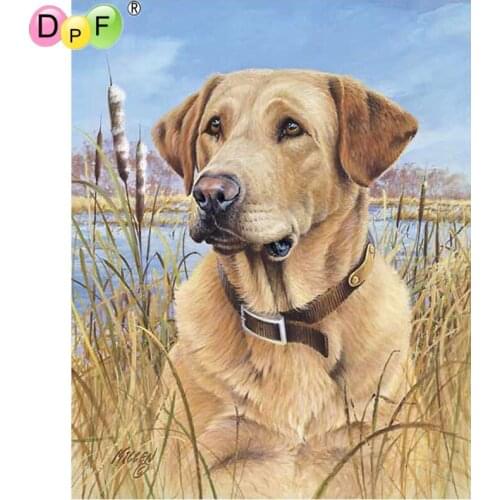 DPF Round Diamond Painting gaze afar yellow dog DIY Gift 5D full Diamond Embroidery Magic Cube Cross Stitch craft Mosaic Decor