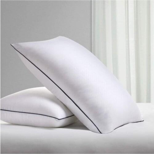 New model luxury pillow Goose down Pillow 2 Pcs + Liquid-Proof Cushion Alezi 2 Pcs