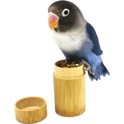 Аксессуары в клетку SHNGki China At AliExpress