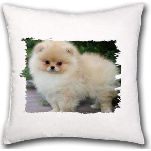 MERCHANDMANIA pillow dog POMERANIA very cute home comfortable sofa sofa dakimakura soft custom gift offer