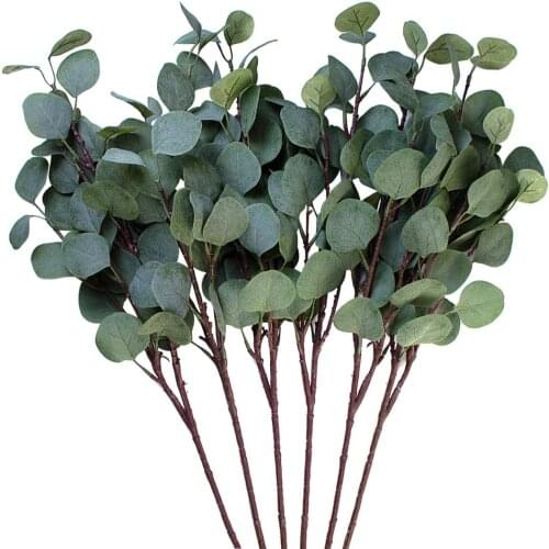 JOYPATY Home And Garden Products