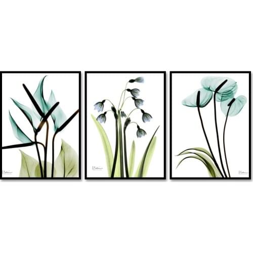 Top Wall 3 Pcs Beautiful floral series Modern Printed Oil Pictures Living Room (No outer frame only inner frame)12Y-3C