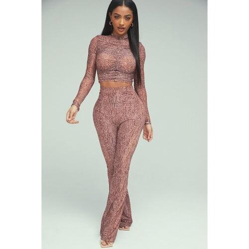 2021 Casual Slim Women Two Pieces Pantalon Set Set Leopard Print Long Sleeve Sexy Crop Tops & Pants Vintage Streetwear AH0019