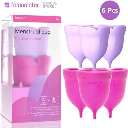 6Pcs Femometer Menstrual Cup with Box Medical Silicone Sterilizing Hygiene Sustainable Tampon Alternative