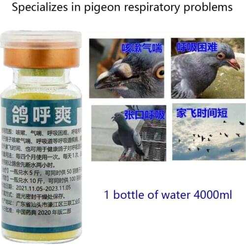 Pigeons with respiratory problems will not fly high soon dedicated to 100 feather/bottle