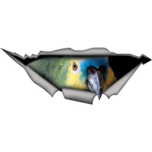 Dawasaru Creative Car Sticke 3D Amazon Parrot Car Window Decal Waterproof High Quality Vinyl Cover Scratches PVC 13cm*5cm
