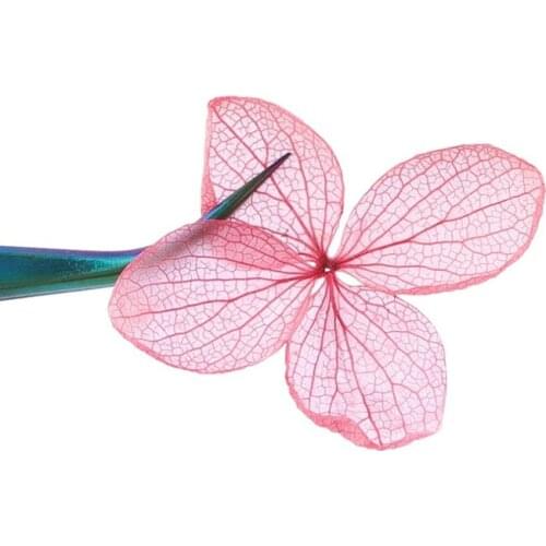 Dried Flowers Leaf Nail Decoration Natural Floral Sticker 3D Dry Beauty Nail Art Decals Jewelry UV Gel Polish Manicure