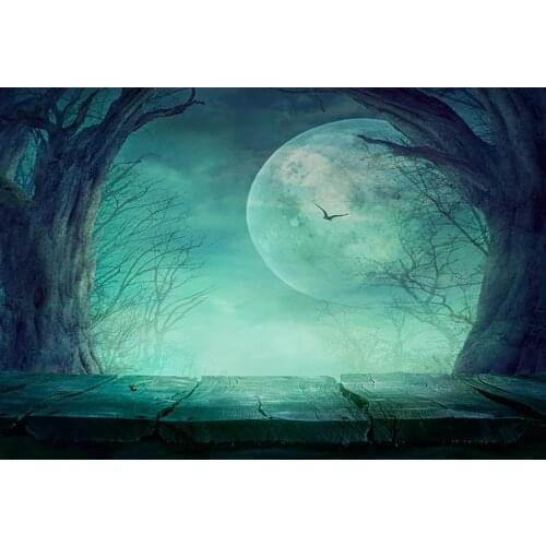 Halloween big moon backgrounds photography vinyl fabric Children Photo backdrops for photo Studio accessories photophone lv-2034