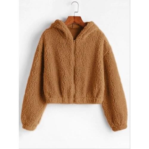 2020 Autumn And Winter New Coat Solid Color Hooded Long-Sleeved Teddy Plush Sweater Short Jacket With Fashionable Temperament