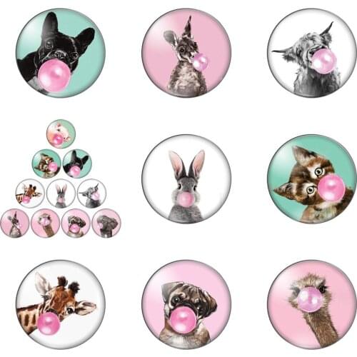 Blowing Bubbles All Kinds of Animals Pretty Cute Lovely 12mm/20mm/25mm/30mm Photo Glass Cabochon Demo Flat Back Making Findings