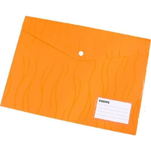 Envelopes Poly Envelopes, 12 Pack Document Folders US Letter A4 Size File Envelopes with Label Pocket Snap Button
