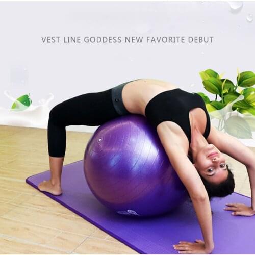 Sports Yoga Balls Bola Pilates Fitness Gym Balance Fitball Exercise Pilates Workout Massage Ball 55cm 65cm 85cm
