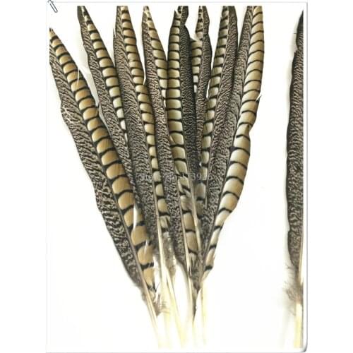 100PCS/lot Natural Pheasant Feather 50-55cm 20-22inch long Venery Pheasant Tails feathers plumes For wedding/party decoration