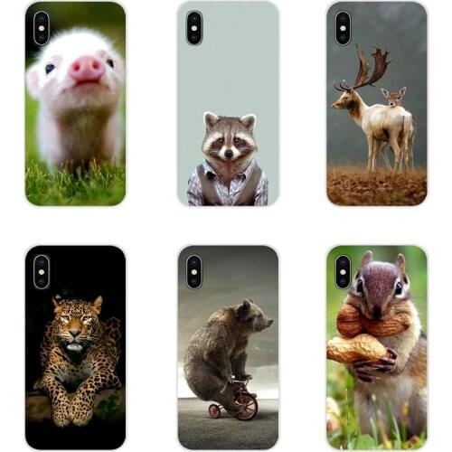 Animals Wallpaper Accessories Phone Cases Covers For Samsung Galaxy S4 S5 MINI S6 S7 edge S8 S9 S10 Plus Note 3 4 5 8 9