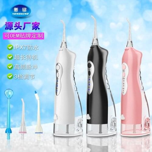Oral Irrigator USB Rechargeable Water Flosser Portable Dental Water Jet 220ML Water Tank Waterproof Teeth Cleaner