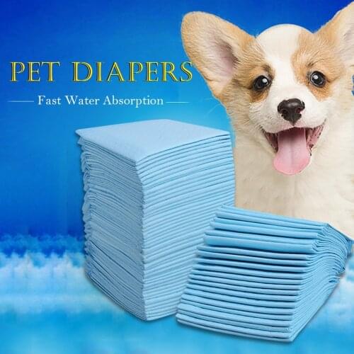 QINGWANG Diapers And Pampers For Animals