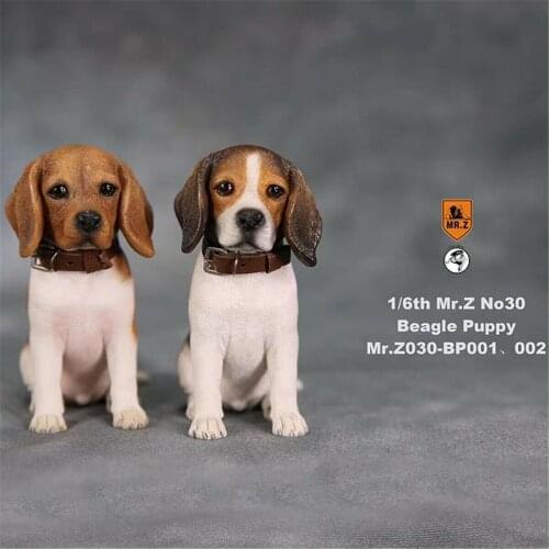 Mr.Z Studio 1:6 Beagle Puppy Figure Dog Pet Healing Figure Canidae Animal Model Toy Collector Desktop Decoration Adult Gift