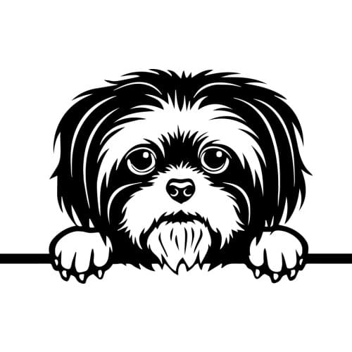 10.2X16.8CM Funny Shih Tzu Dog Car Stickers Vinyl Creative Cute Motorcycle Accessories Car Styling Decoration Decals