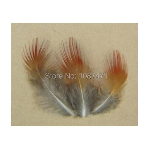 100pcs/lot 4-7cm real natural color red head pheasant feathers plumage for jewelry craft headwear hair hat making hot bulk sale