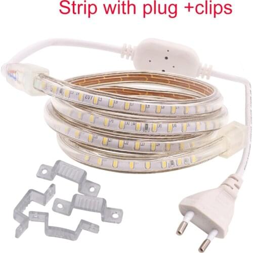 220v 230v 240v led strip light smd 3014 waterproof IP67 IP68 warm white blue outdoor tape rope with power plug dimmable lamp