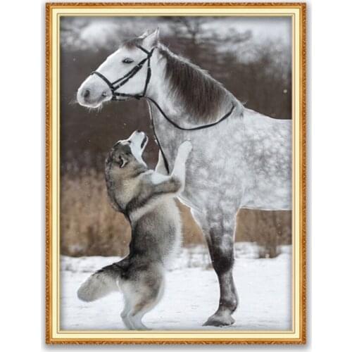 Animal Dog Husky DIY Cross Stitch 11CT Embroidery Kits Needlework Craft Set Printed Canvas Cotton Thread Home Decoration Hot