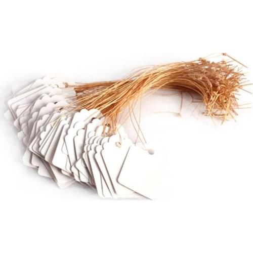 100Pcs/lot Plants Hang Tag Labels Seedling Garden Flower Pot Plastic Tags Number Plate Hanging Reusable PVC Garden Tools