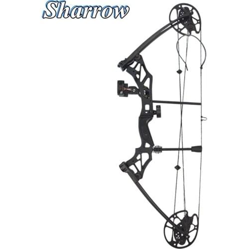 Archery Compound Pulley Bow Sets 30-70 Lbs Adjustable IBO 320FPS Profession Hunting Bow Outdoor Camping Shooting Accessories