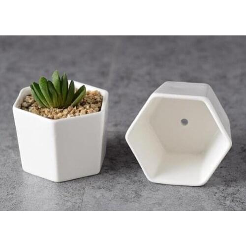 Ceramic bonsai pots wholesale mini white porcelain flowerpots suppliers for seeding succulent indoor home Nursery planters