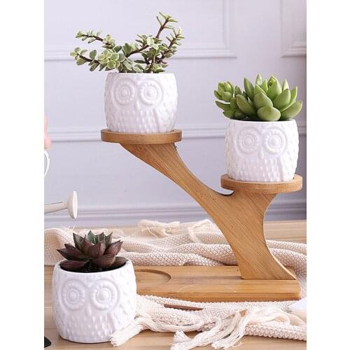Mini Cactus Pot Succulent Pot Indoor Decoration Home Office White Ceramic Vase Wooden Stand Holder Plant Garden Pots